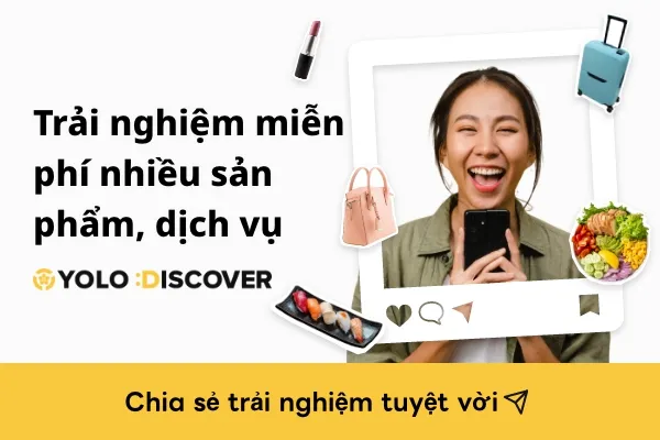YOLO DISCOVER