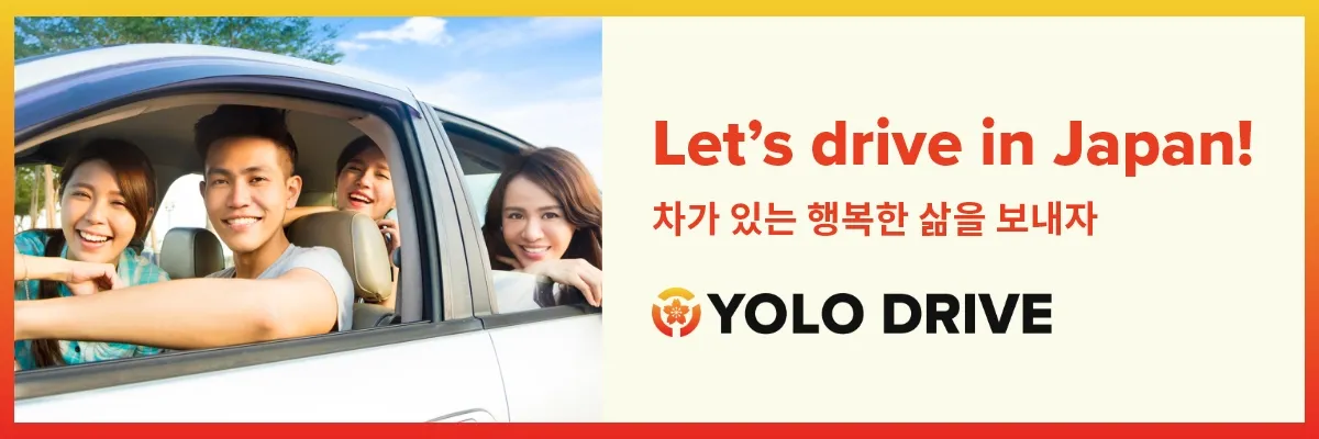YOLO DRIVE