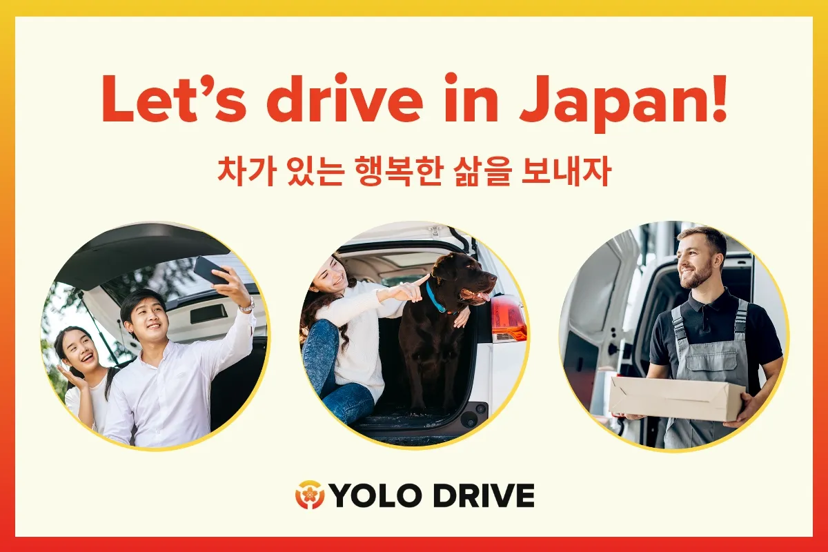 YOLO DRIVE